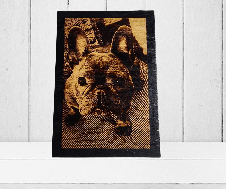 5x7's Bundle of 3 Creations - 