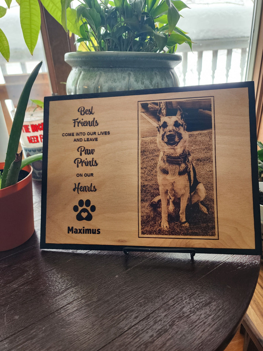 Pet Memorial 