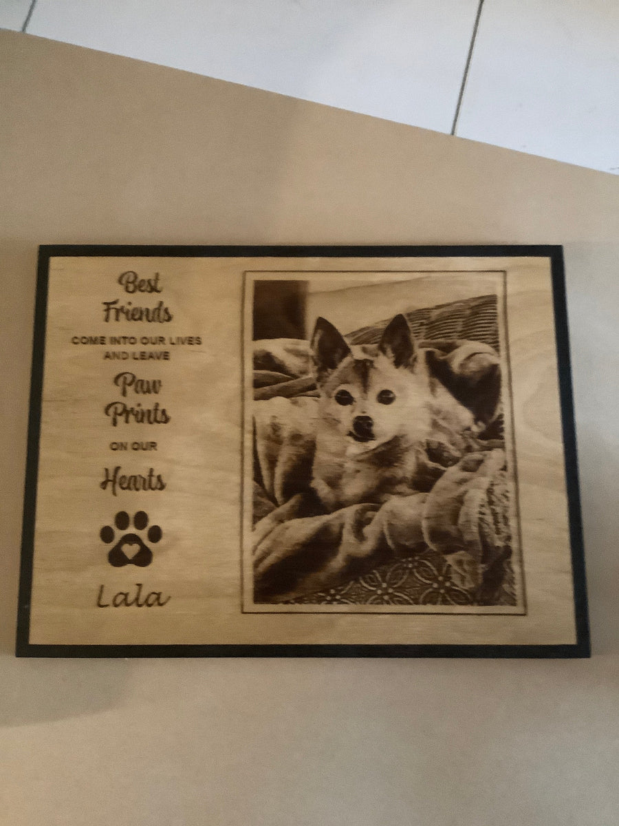 Pet Memorial 