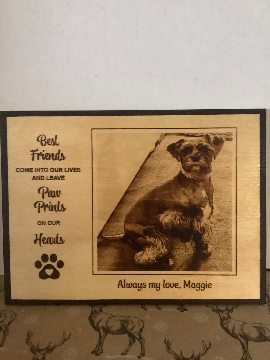 Pet Memorial 