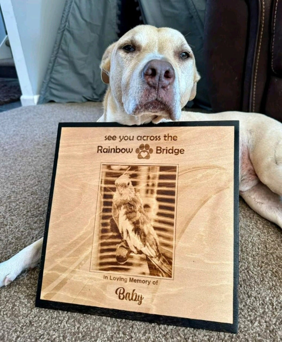 Pet Memorial 