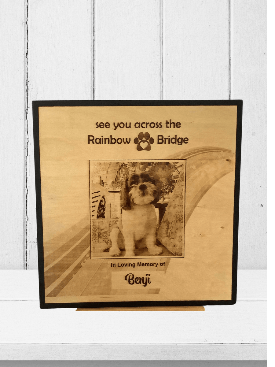 Rainbow Bridge Photo for Pet Loss - 