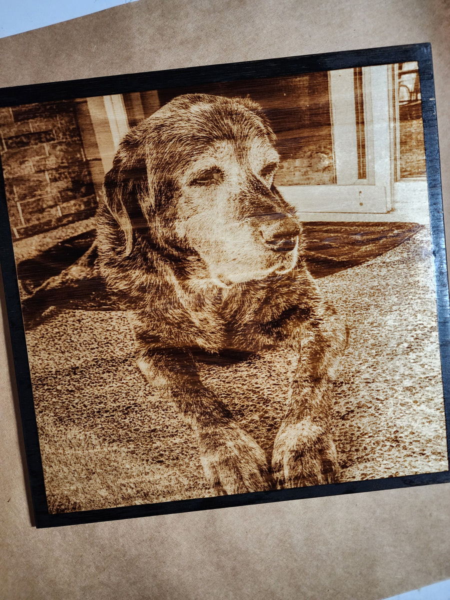 Wood Burnt Photo *Size 12x12* - 