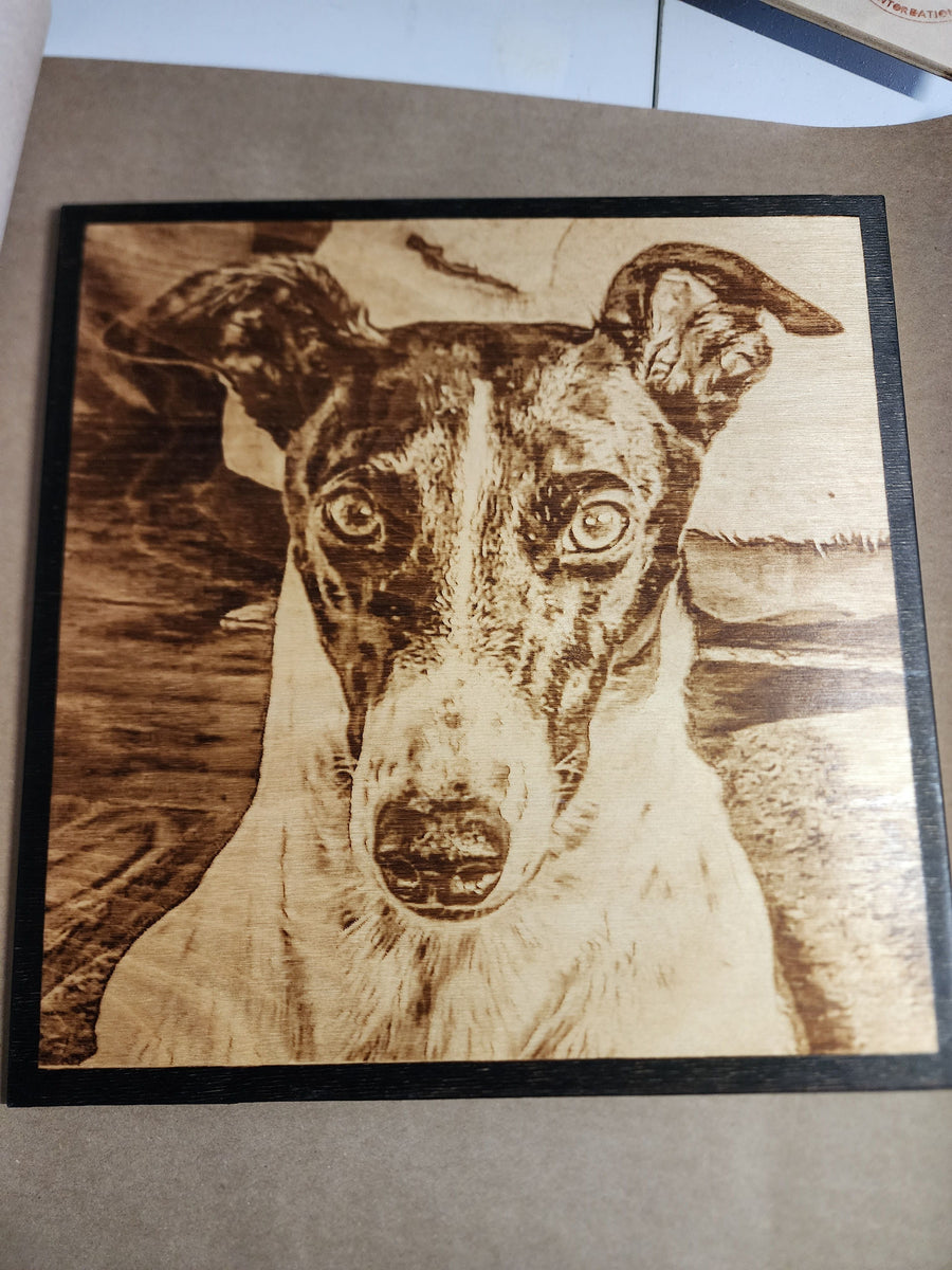 Wood Burnt Photo *Size 16x16* - 