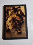 Wood Burnt Photo *Size  9x12*