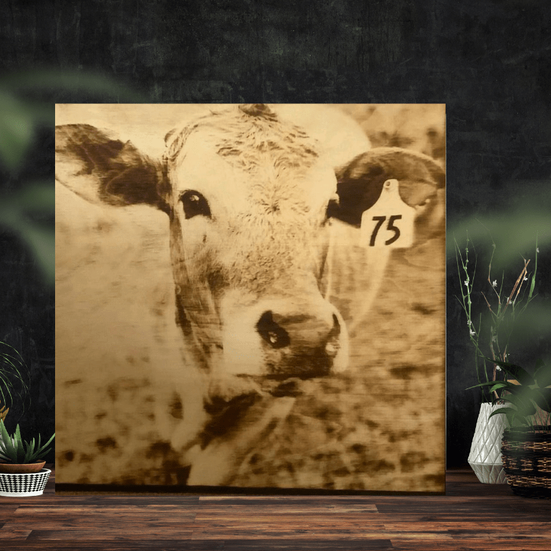 16x16 Bundle of 3 of the Largest Creations - 