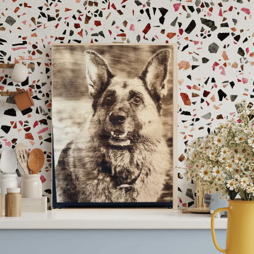 5x7's Bundle of 3 Creations - 