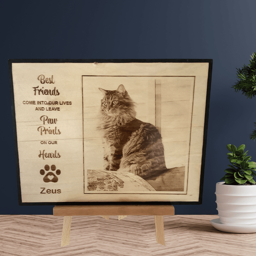 Pet Memorial 