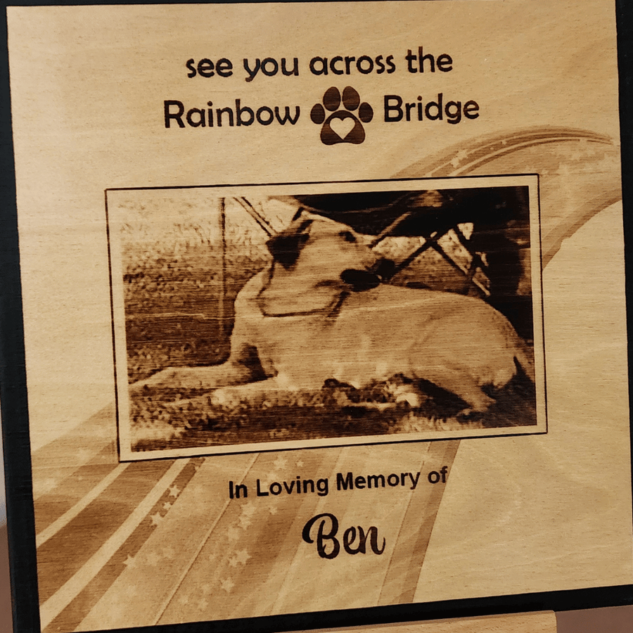Rainbow Bridge Photo for Pet Loss - 