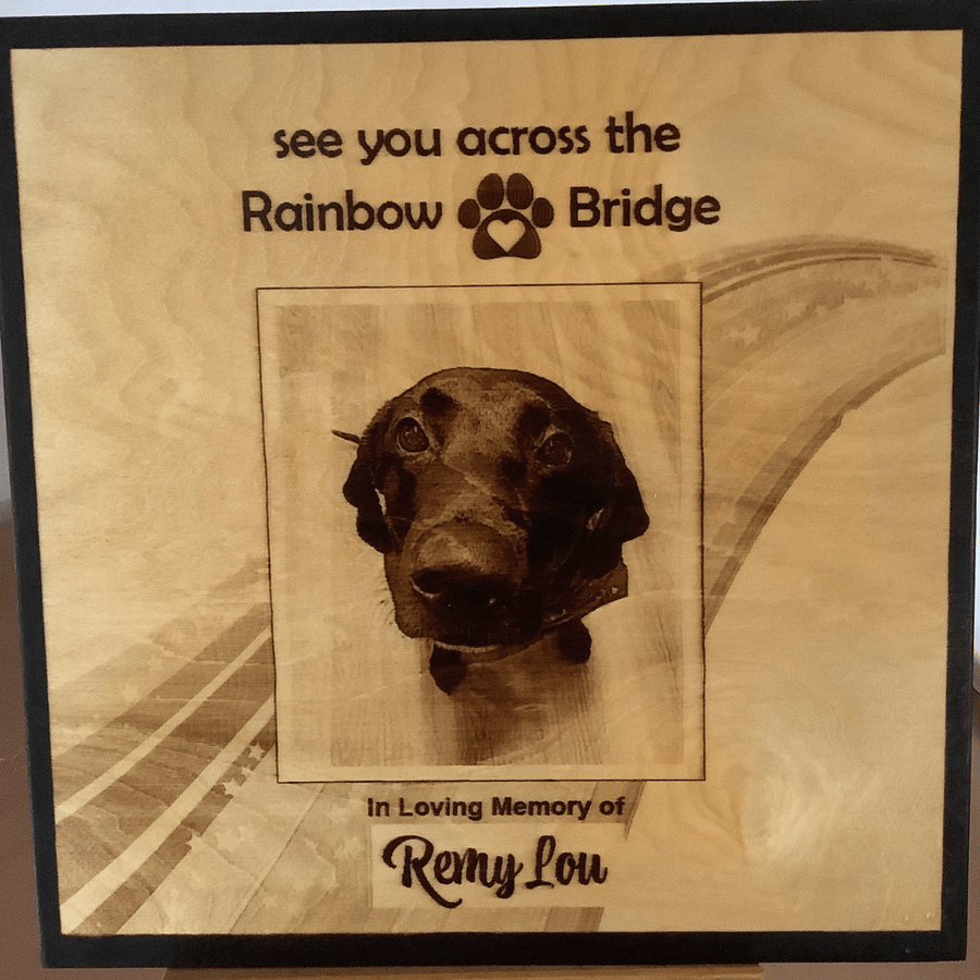 Rainbow Bridge Photo for Pet Loss - 