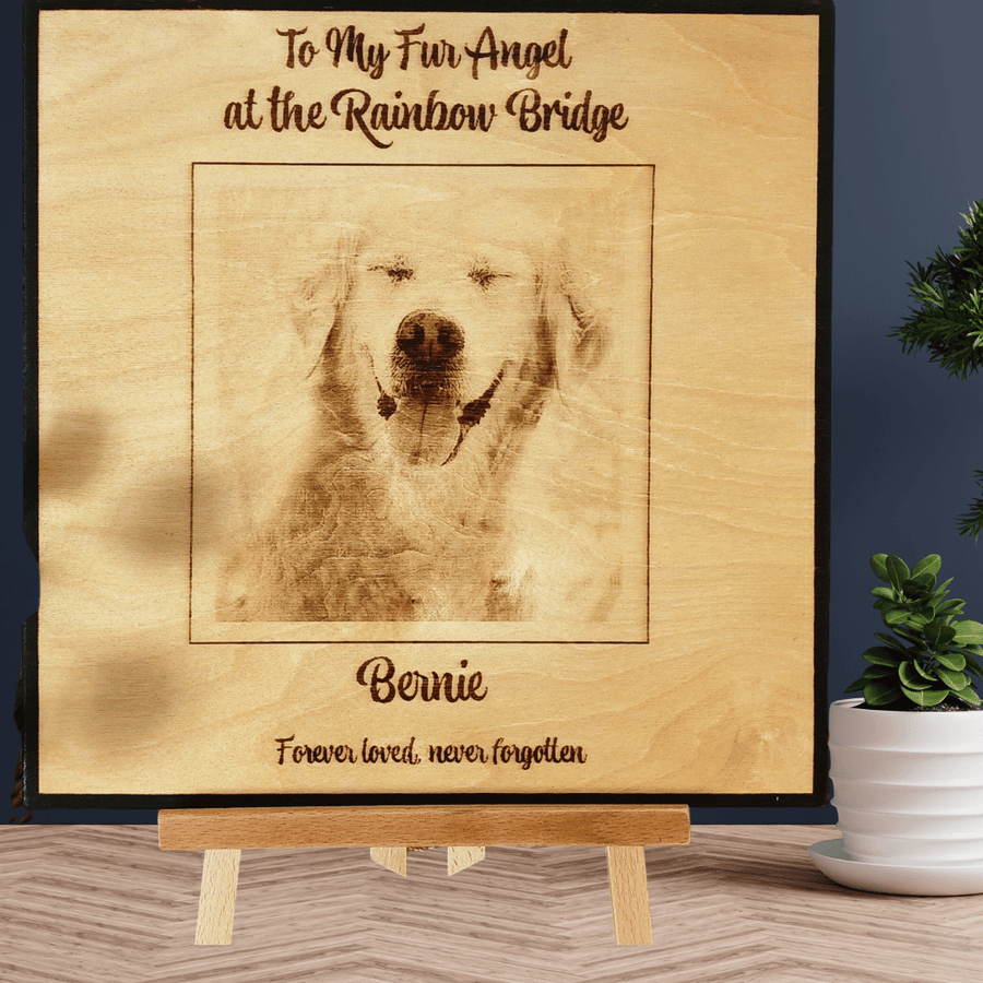 Rainbow Bridge Photo for Pet Loss - 