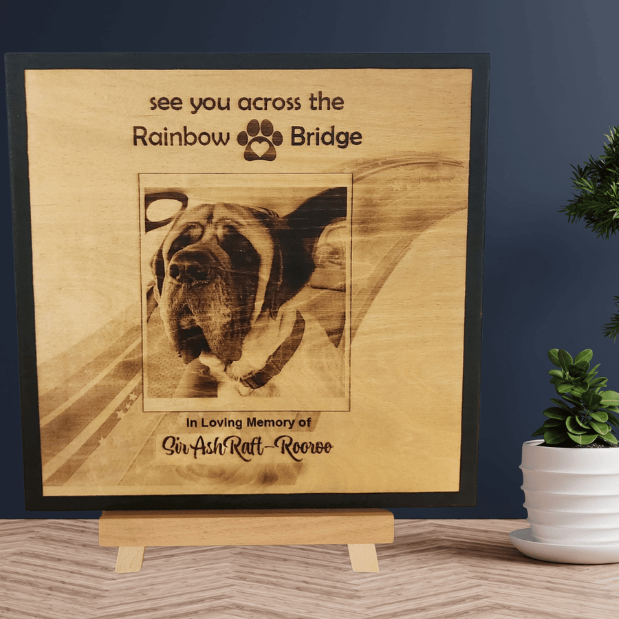 Rainbow Bridge Photo for Pet Loss - 