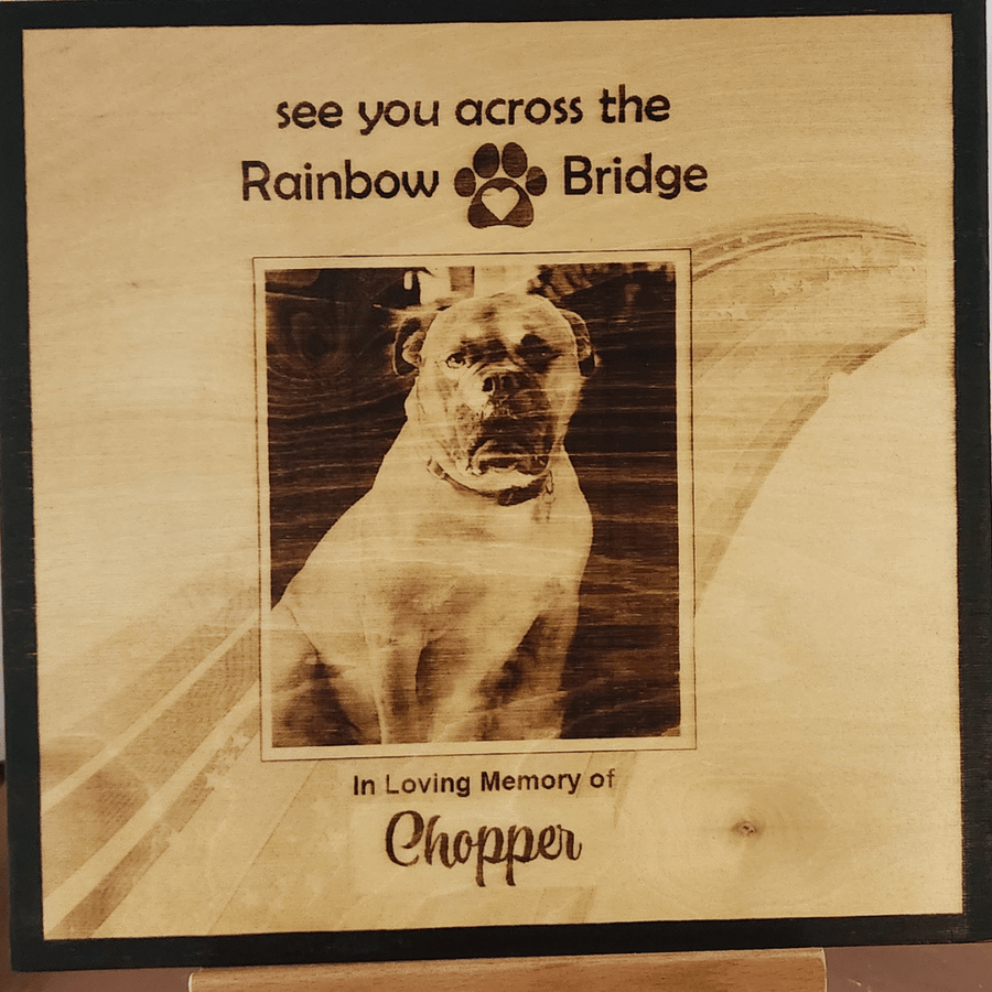 Rainbow Bridge Photo for Pet Loss - 