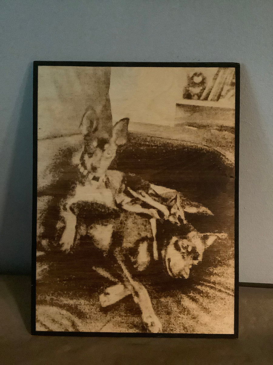 Wood Burnt Photo* Size 11x16* - 