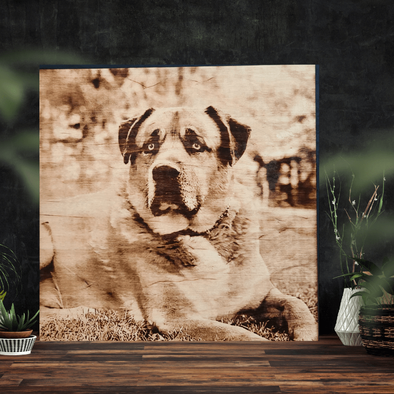 Wood Burnt Photo *Size 12x12* - 