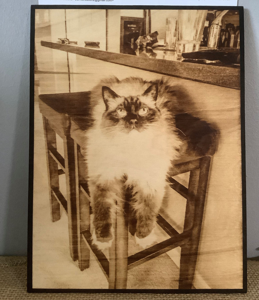 Wood Burnt Photo *Size 9x12* - 