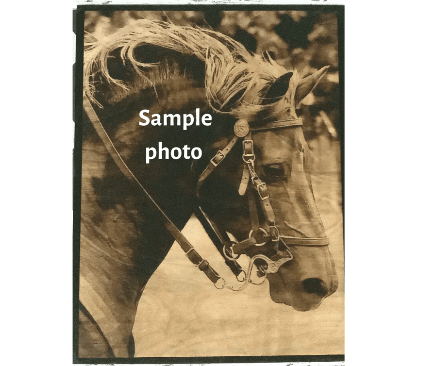 Wood Burnt Photo *Size 9x12* - 